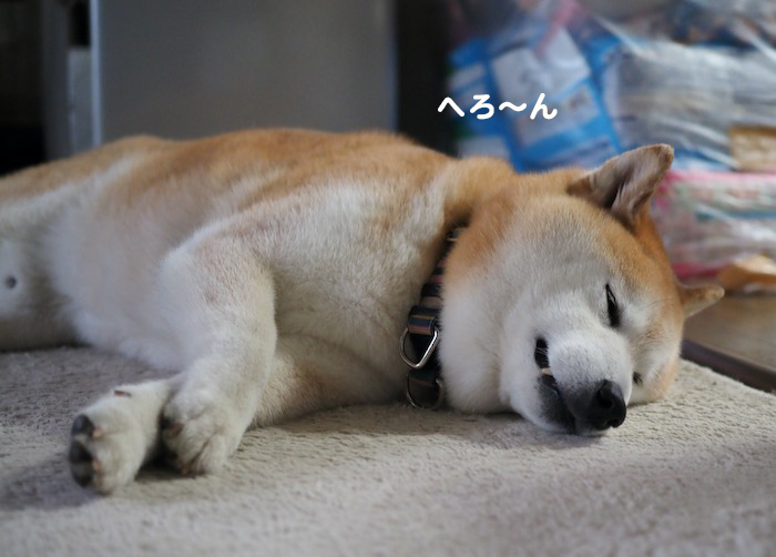 29日ブログ１２