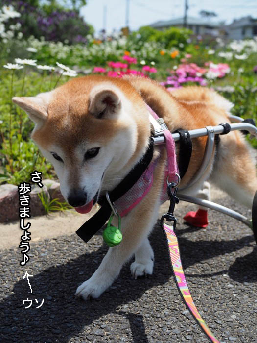 26日ブログ３