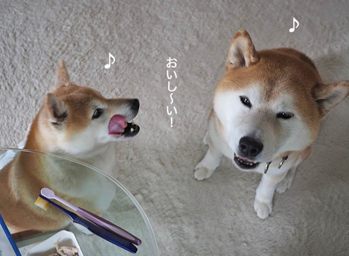 10日夜ブログ３