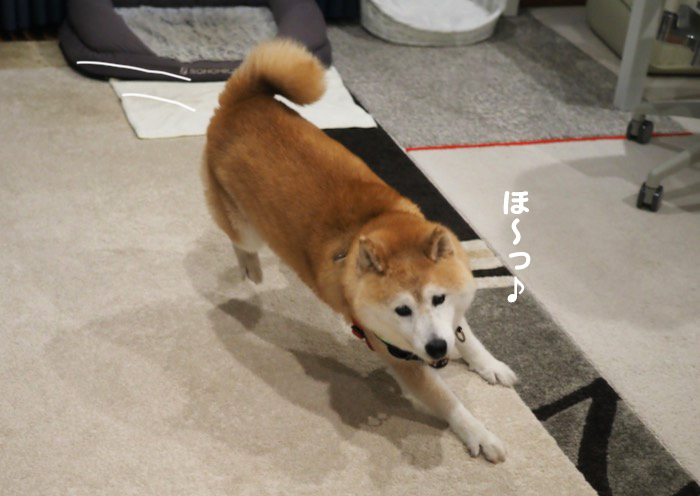 24日ブログ４