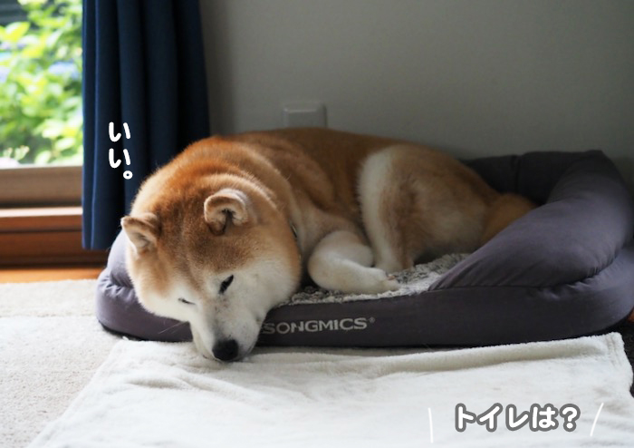 30日夕ブログ２
