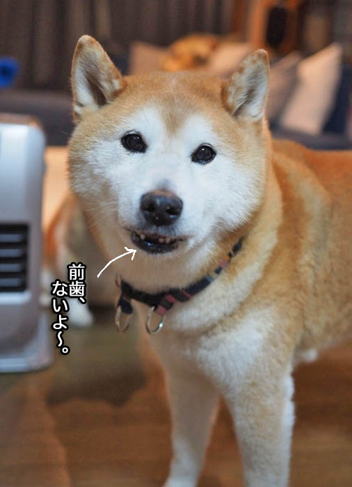 22日夜ブログ１