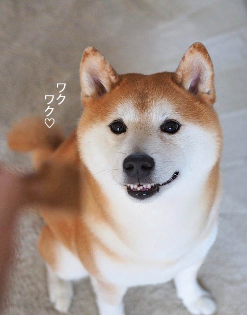 7日ブログ8