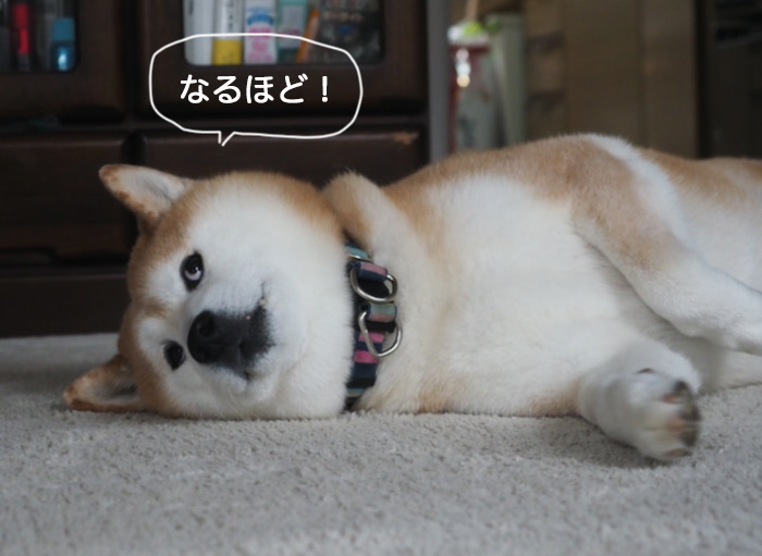 11日夜ブログ４