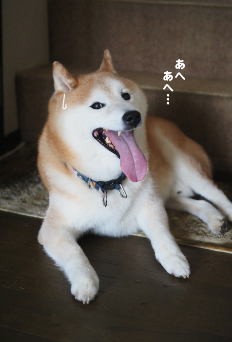 12日ブログ3