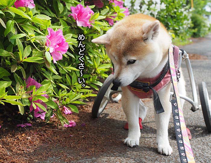27日夜ブログ３