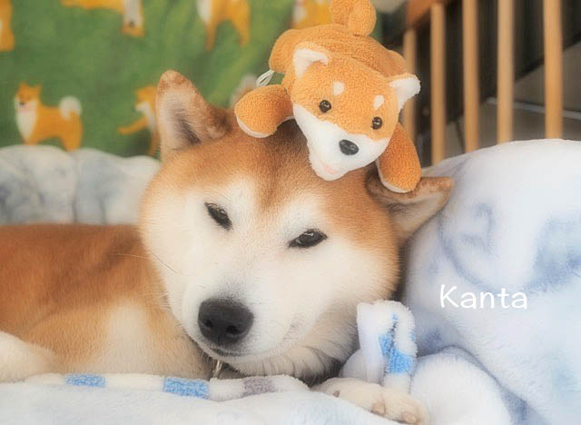 10日ブログ６