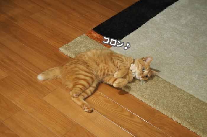 16日夕ブログ２