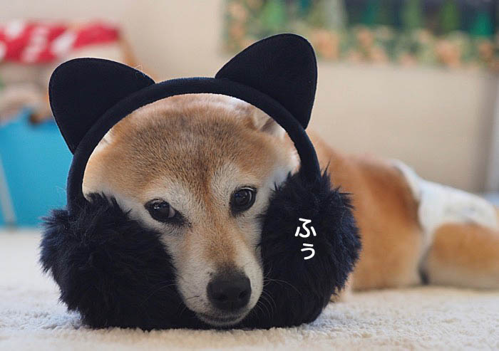 15日夜ブログ５