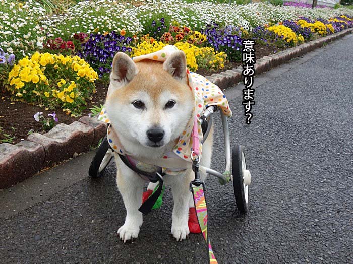 29日ブログ６