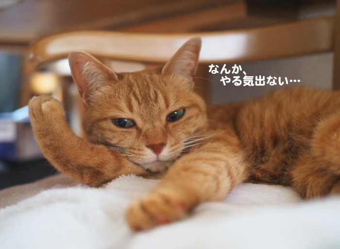 2日ブログ３
