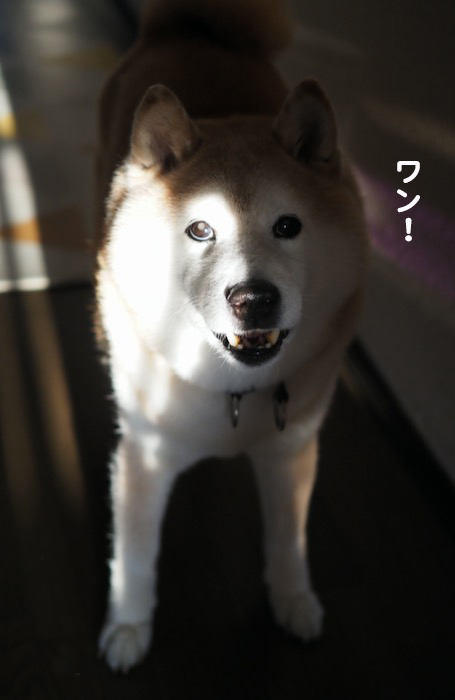 25日ブログ１
