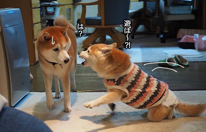 6日夜ブログ５