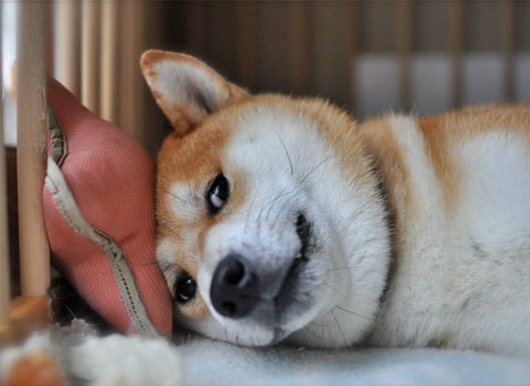 25日ブログ10.jpg