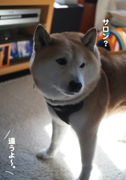 29日ブログ３