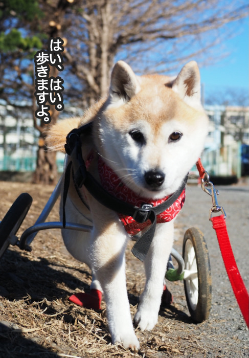 4日ブログ３