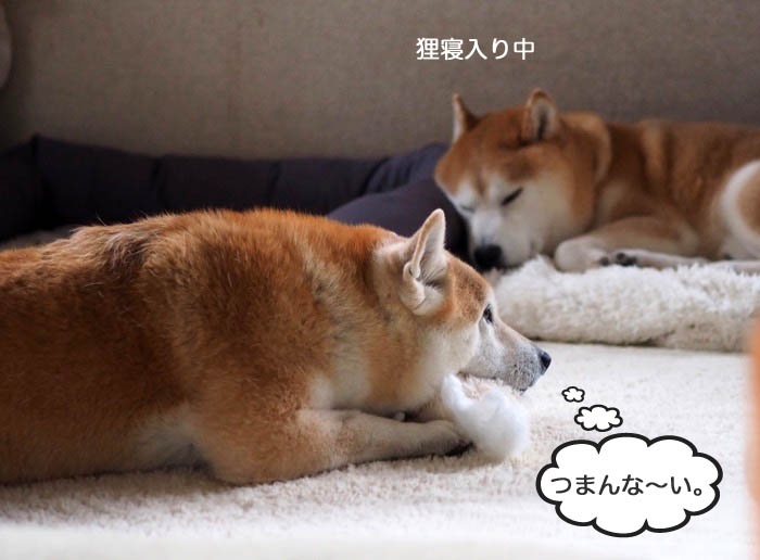 12日ブログ１１