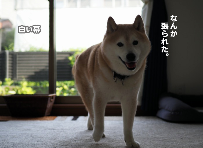 22日夕ブログ６