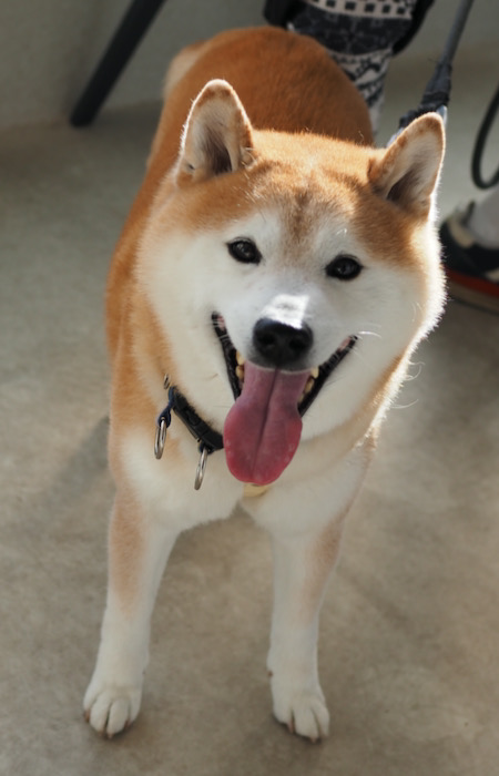 10日夕ブログ１