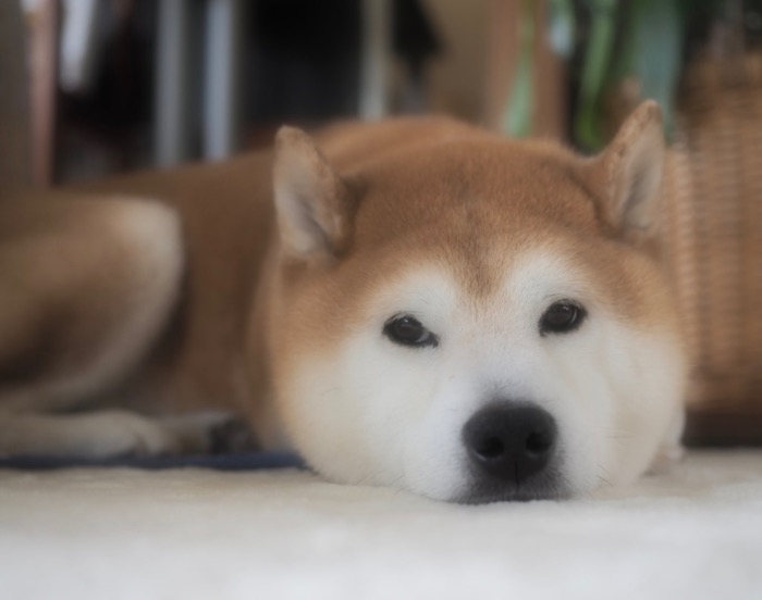 11日夜ブログ３