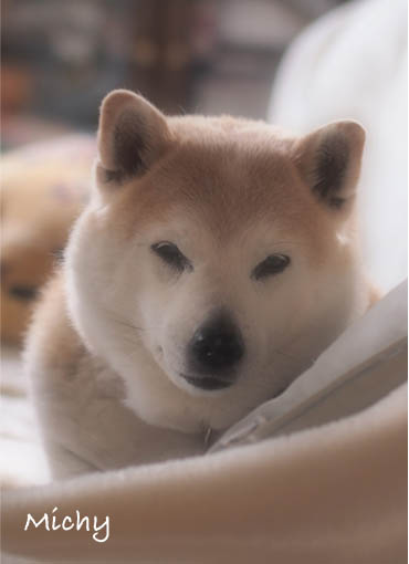 30日ブログ15.jpg