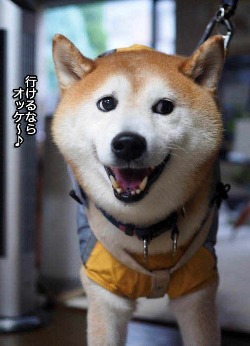 14日ブログ６