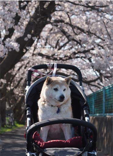 31日ブログ３.jpg