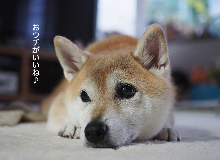 26日夜ブログ１