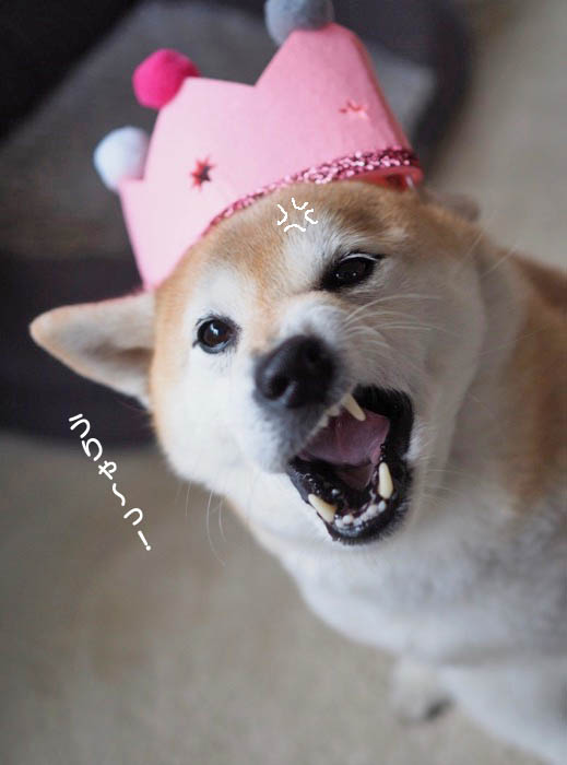 3日ブログ4