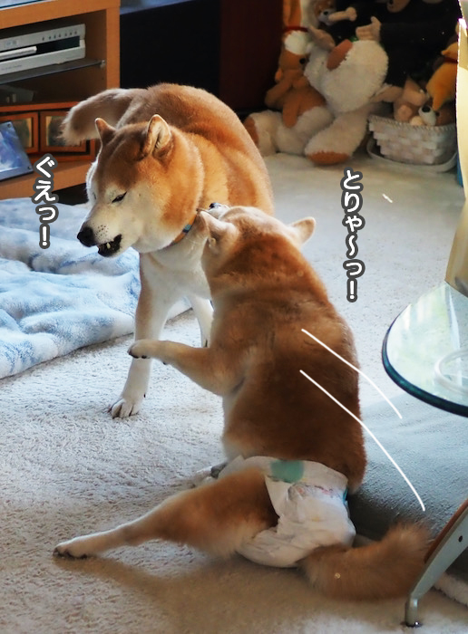 16日夜ブログ８
