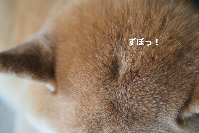 12日ブログ３