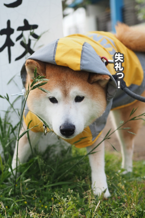 18日ブログ２