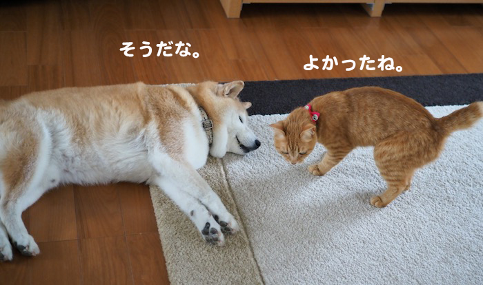 16日ブログ３