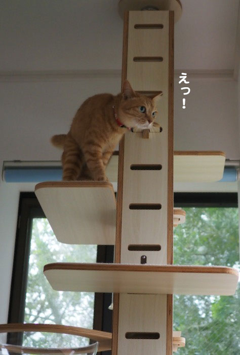 14日夕ブログ２