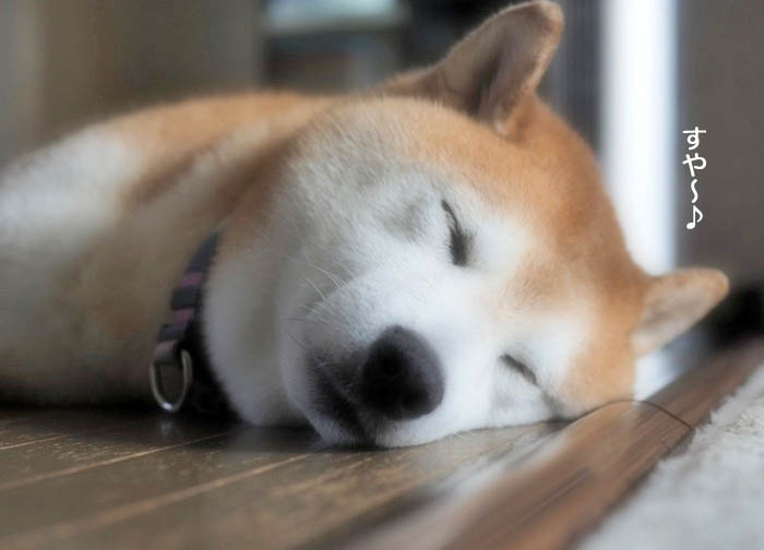 24日ブログ４