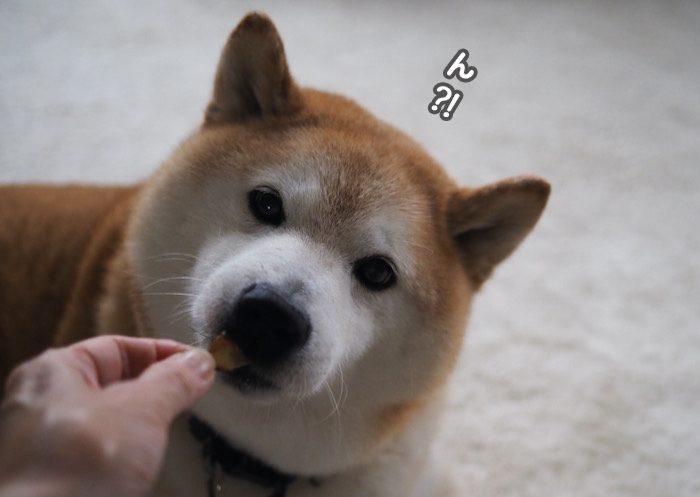 10日夕ブログ５