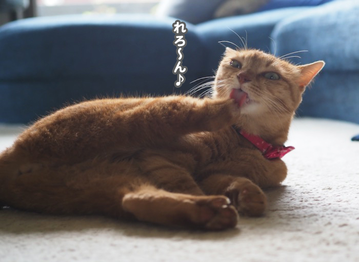 1日夕ブログ４