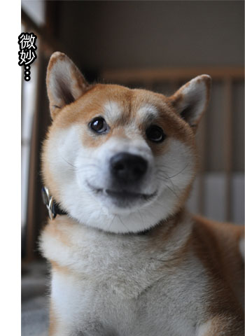 23日ブログ11.jpg