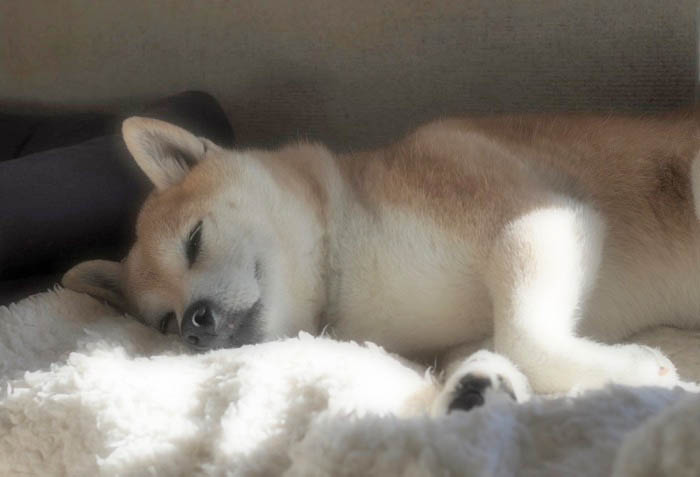 13日ブログ７