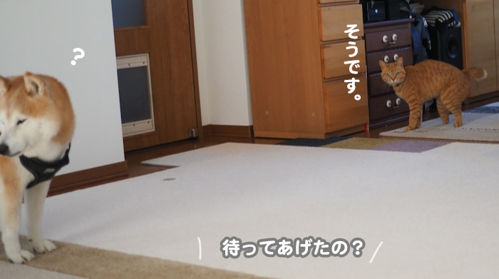3日ブログ７