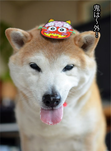 3日ブログ2.jpg
