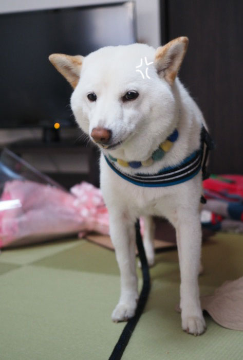2日ブログ４