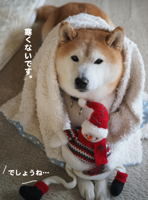 17日ブログ２