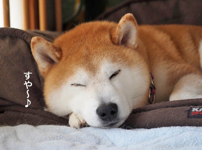 21日ブログ４