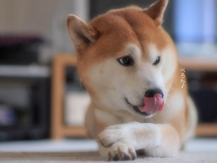12日ブログ5