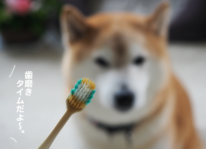 23日夕ブログ３