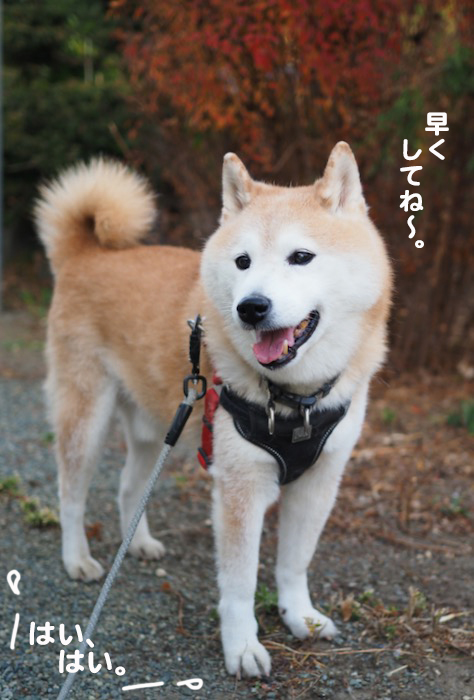 28日夕ブログ５