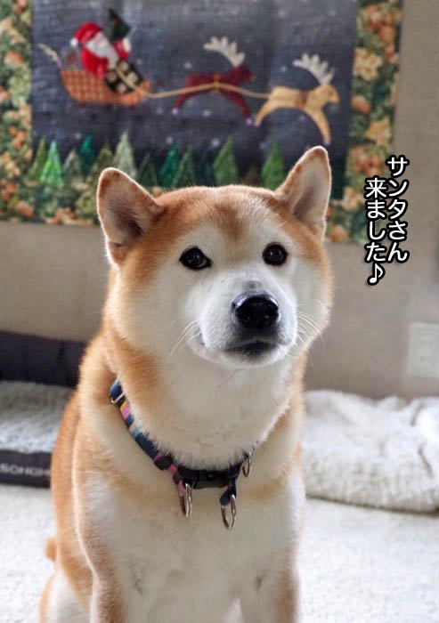 6日ブログ２