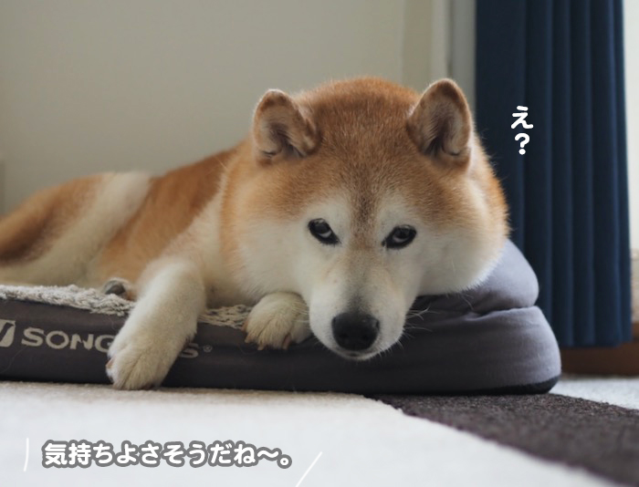 21日夕ブログ３