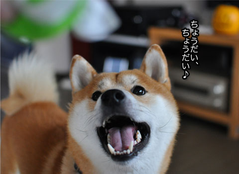 29日ブログ7.jpg
